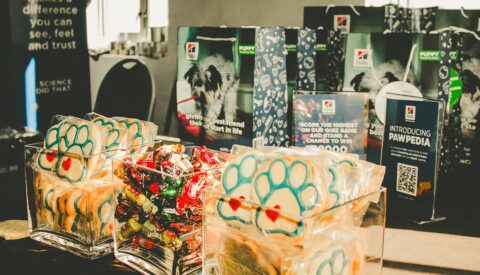 Absolute Pets – How Pawesome!